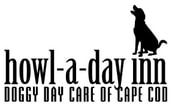 Howl-A-Day Inn, Doggy Day Care of Cape Cod